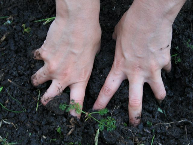 El no reconocimiento del trabajo de las mujeres agrícolas