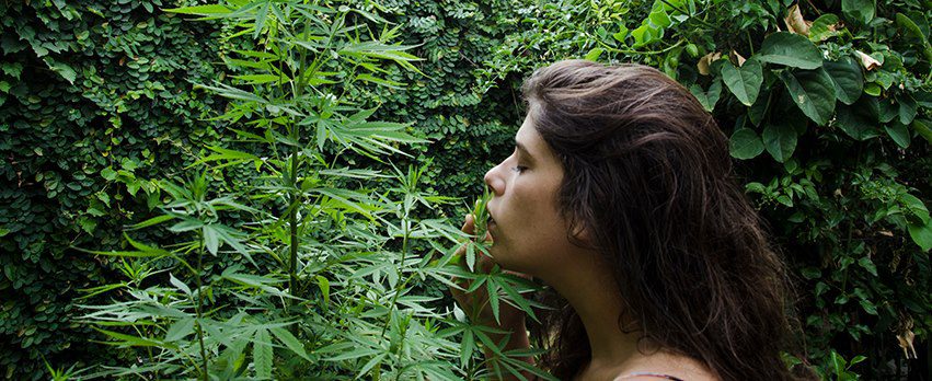 Mujeres y Cannabis